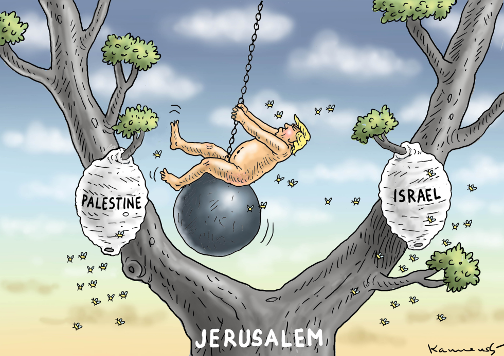 Trump Middle East Madness