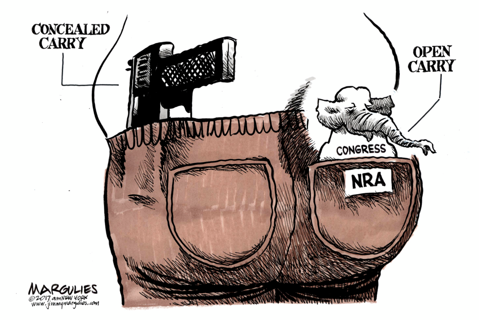 Concealed Carry color