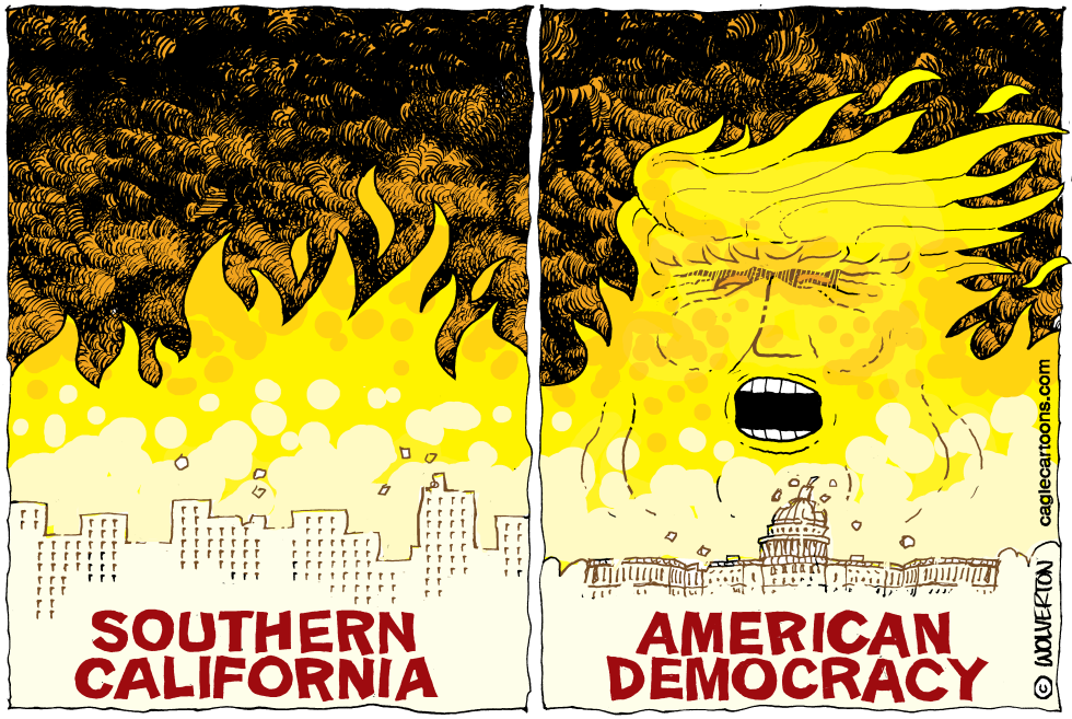 Wildfires Local and National