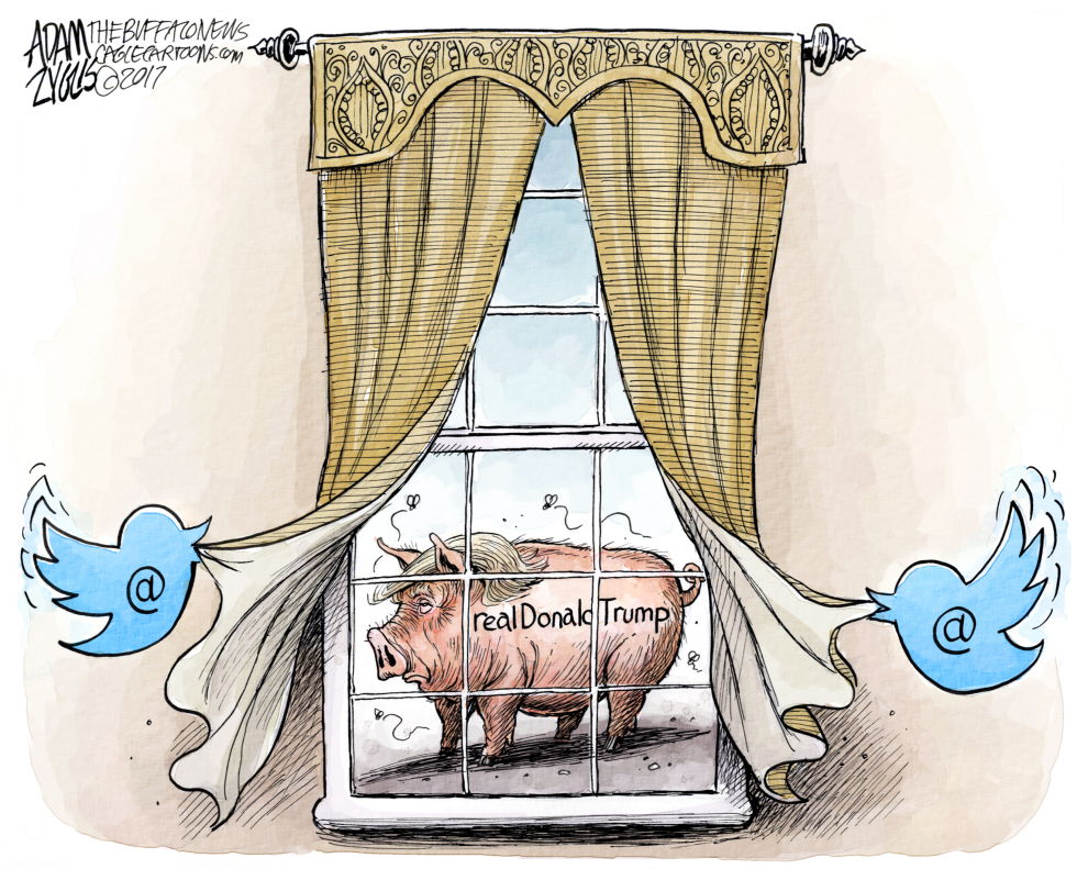 Gellibrand Tweets COLOR