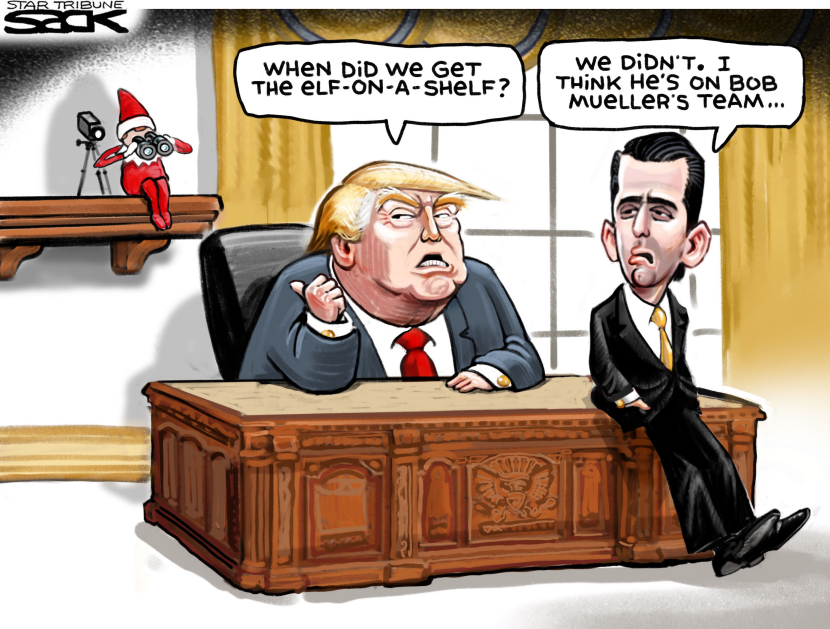 MuelleronaShelf