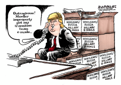 MUELLER AND TRUMP by Jimmy Margulies