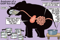 ELEPHANT ANATOMY by Steve Greenberg