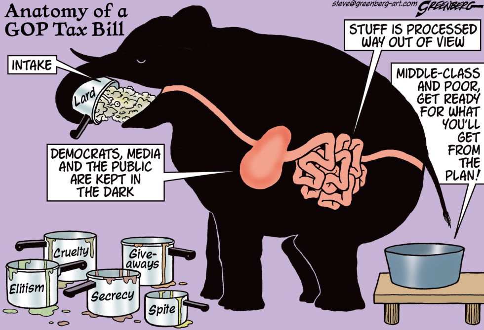 Elephant Anatomy
