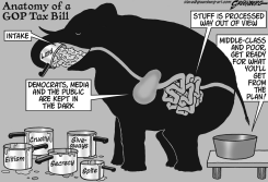 ELEPHANT ANATOMY BW by Steve Greenberg