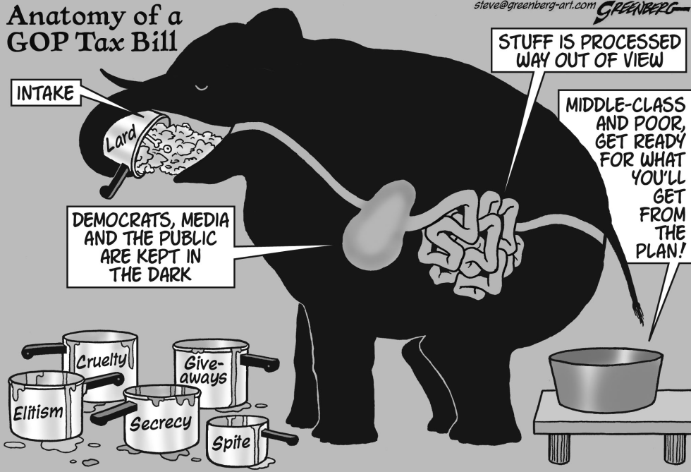 Elephant Anatomy bw