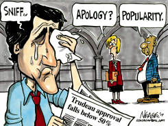 JT APPROVAL by Steve Nease