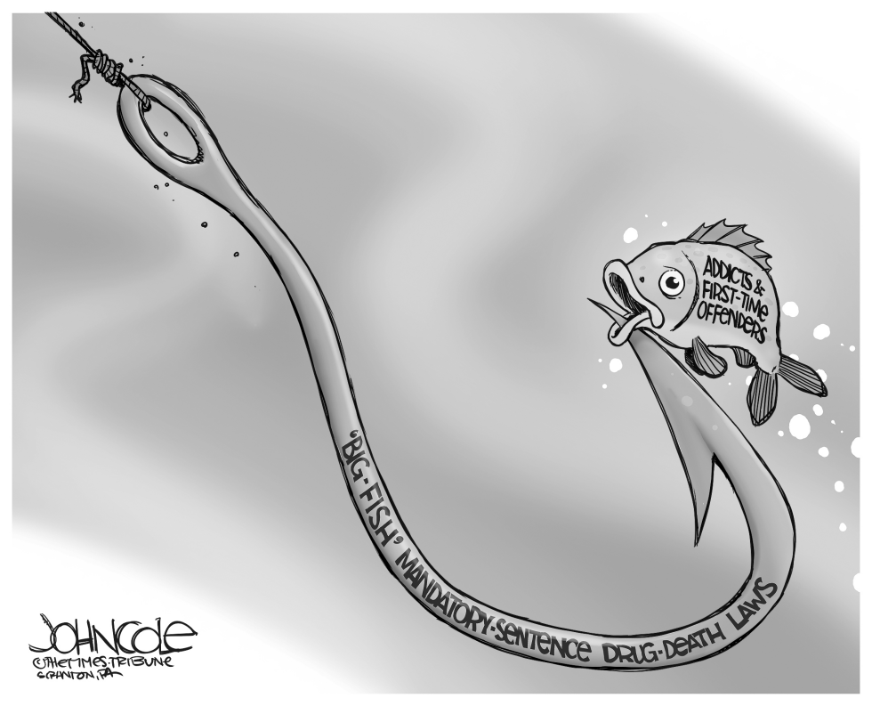 Opioid mandatory sentences BW