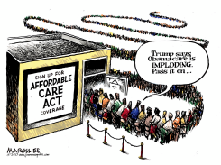 TRUMP SAYS OBAMACARE IMPLODING by Jimmy Margulies