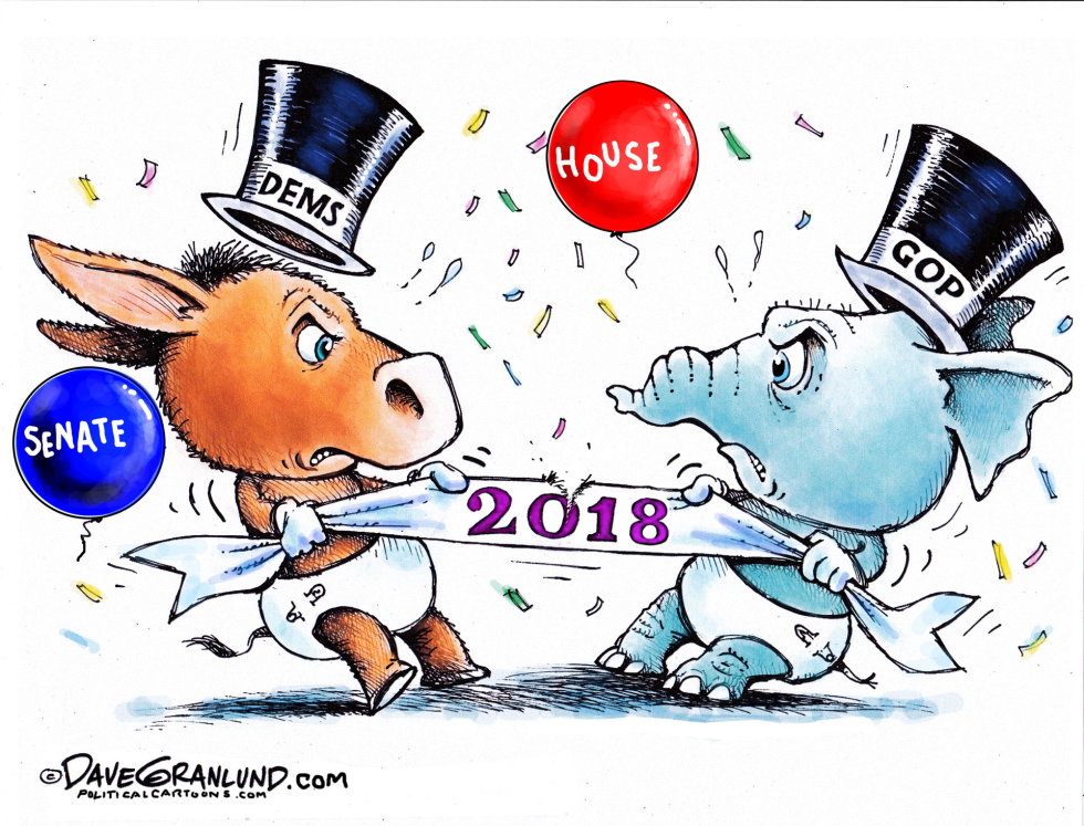 NEW YEAR CONGRESS SEATS 2018  by Dave Granlund