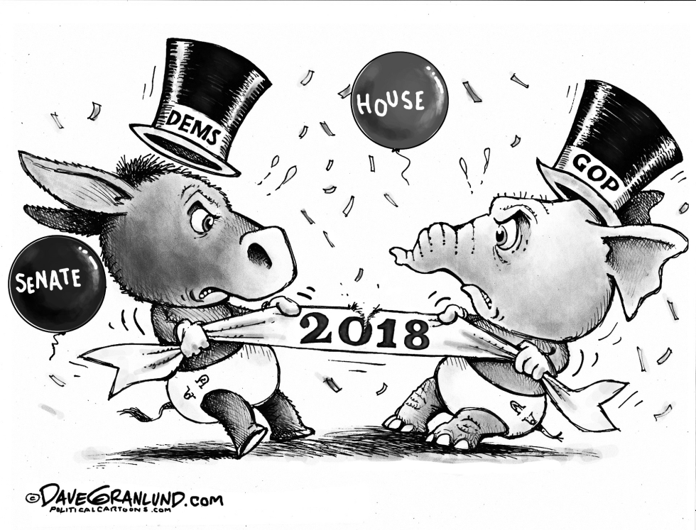NEW YEAR CONGRESS SEATS 2018 by Dave Granlund
