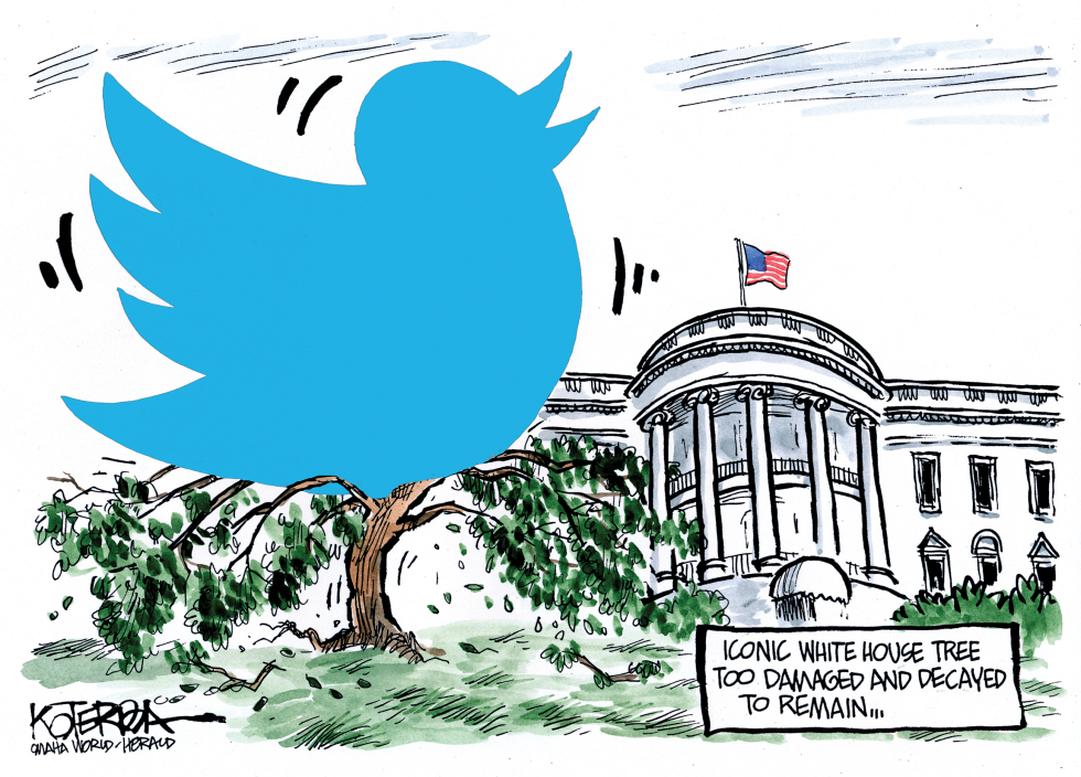 Too Much Tweeting