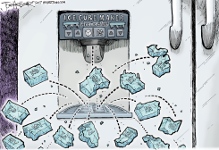 COLD by Joe Heller