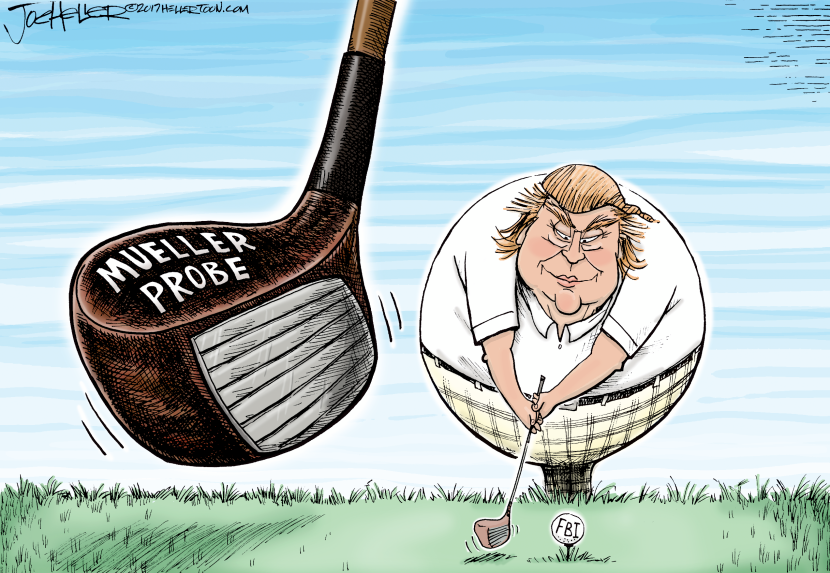 Mueller Probe