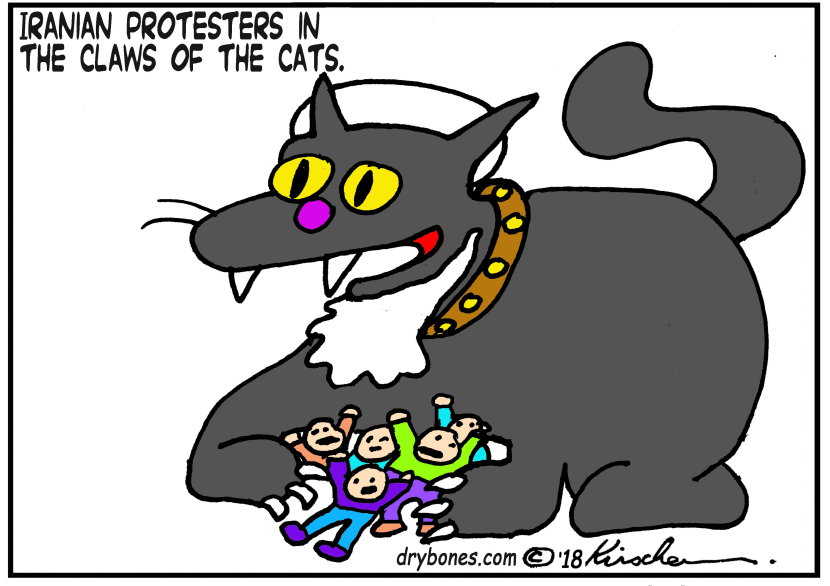 Iranian Protesters