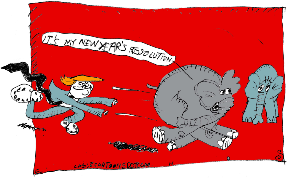 New Year's Resolution