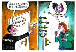 TURKEY AT EUROPE'S DOOR -  by Christo Komarnitski