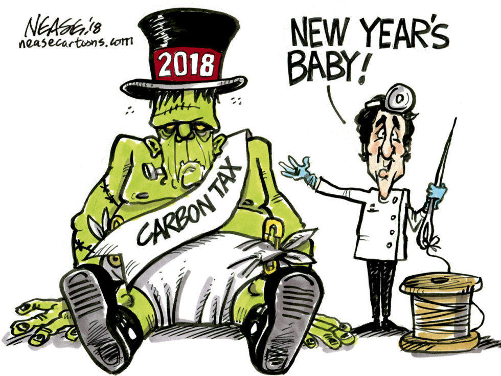 2018 Baby