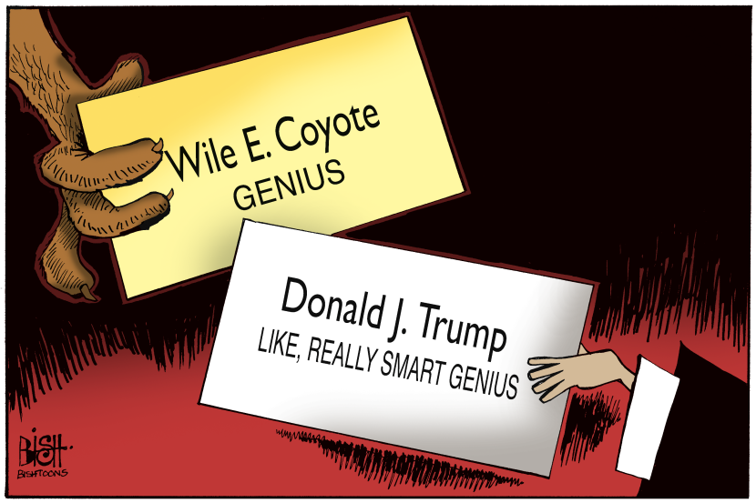 TRUMP GENIUS, COLOR