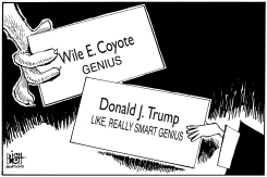 TRUMP GENIUS, B/W by Randy Bish