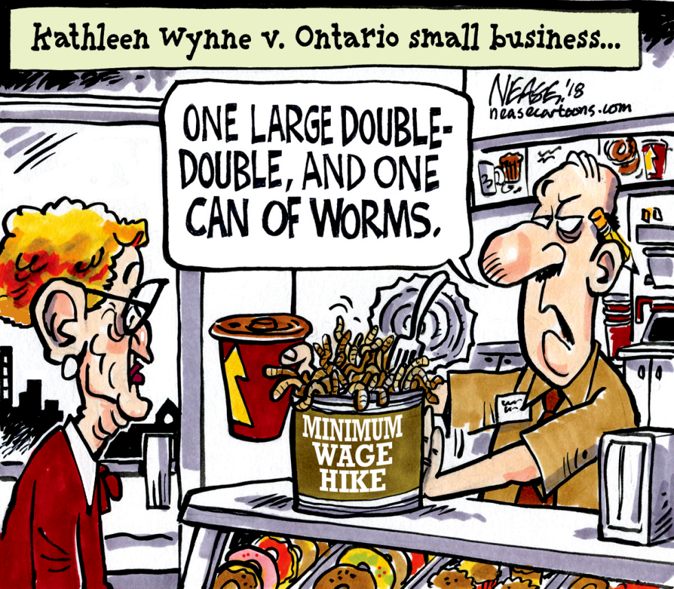 Wynne vs Biz