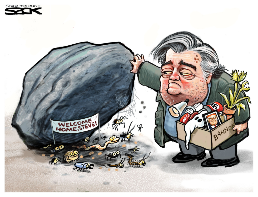  ROCK STAR BANNON by Steve Sack