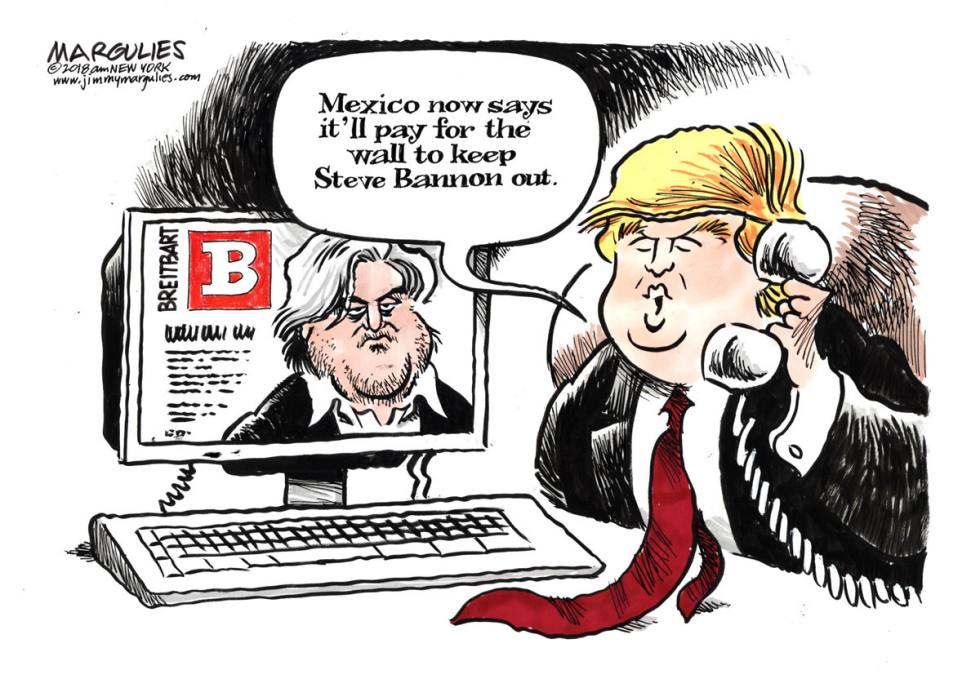 Steve Bannon color