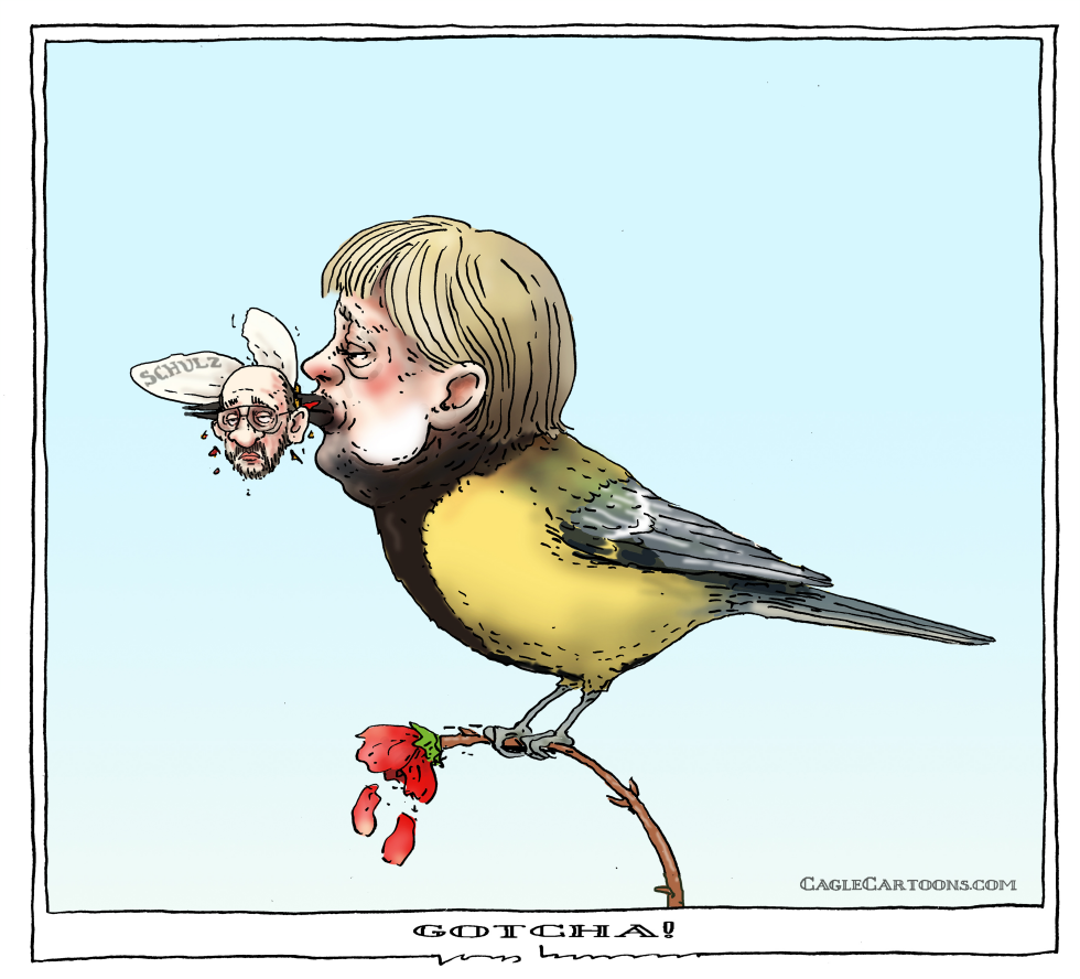  GOTCHA by Joep Bertrams