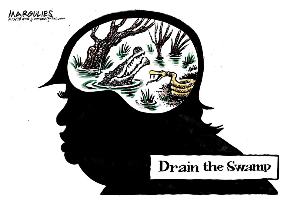 Drain the Swamp color