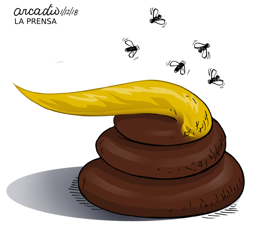 Trump materialisation/ Materialización de Trump