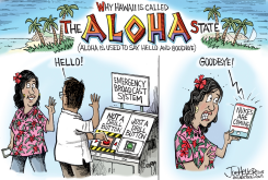 HAWAII by Joe Heller