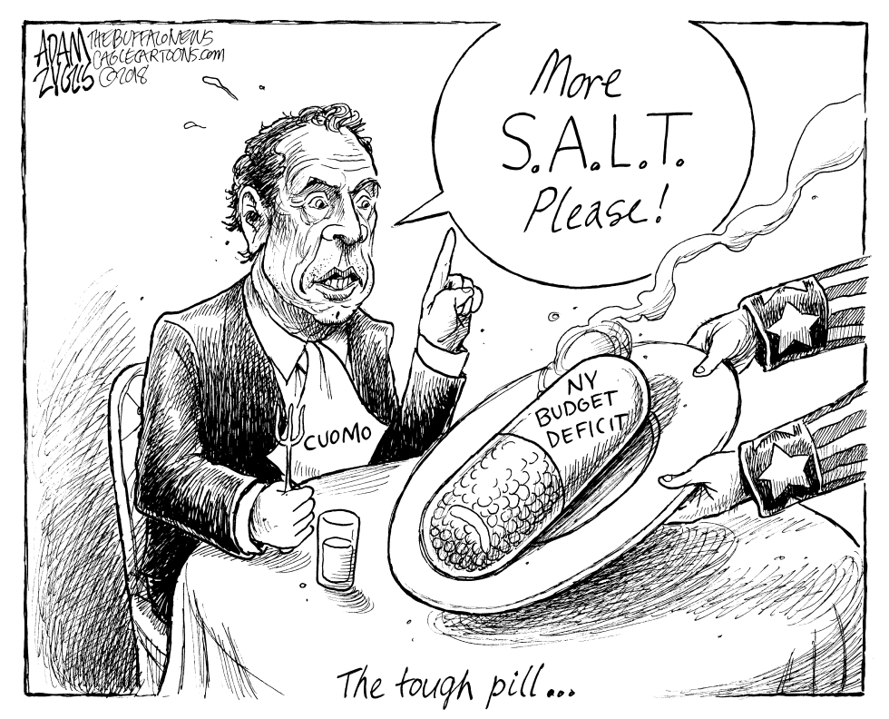 NY State Budget