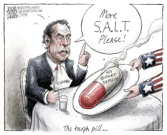 NY STATE BUDGET  by Adam Zyglis