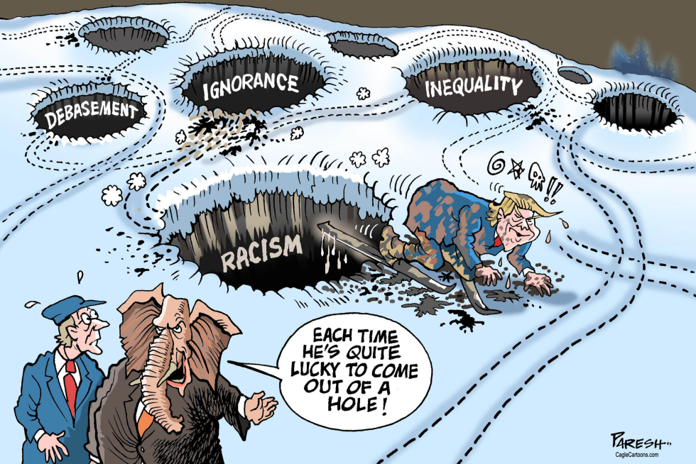  TRUMP AND RACISM by Paresh Nath