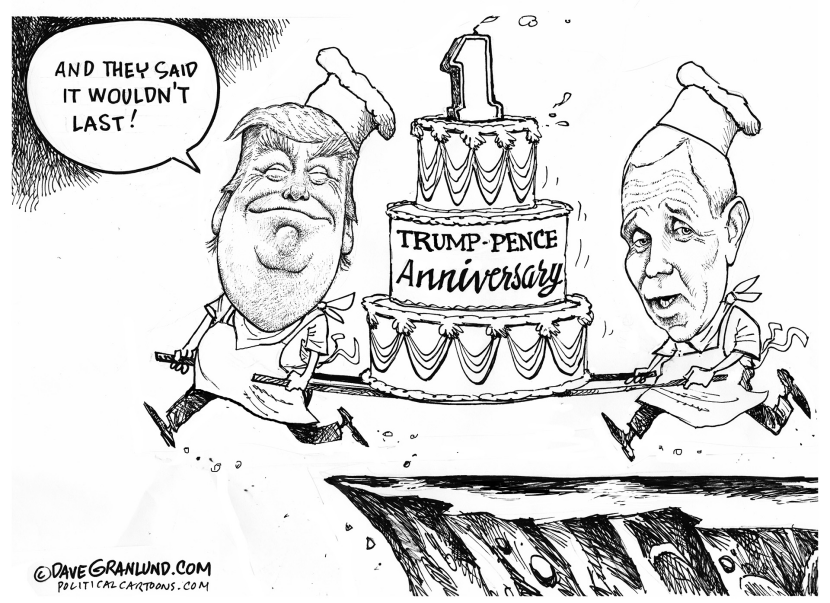 Trump First Year