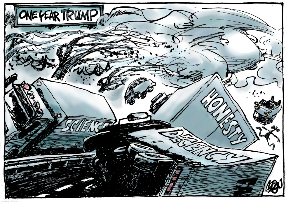 One year Trump