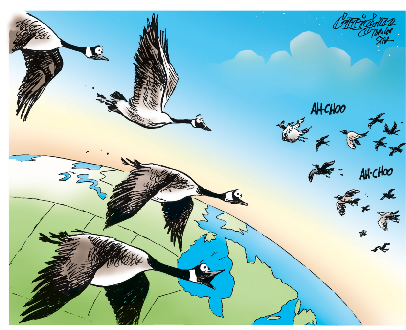 avian flu coming to Canada