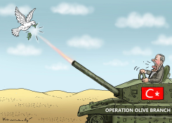 OPERATION OLIVE BRANCH by Marian Kamensky