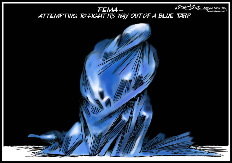 Blue Tarp