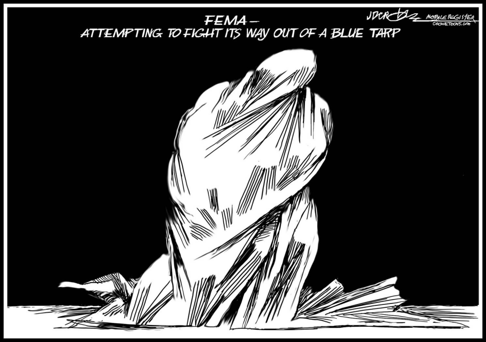 b/w Blue Tarp