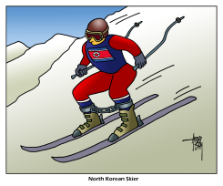FREESTYLE SKIER by Arend Van Dam