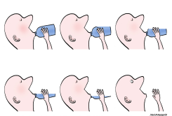 FIBERS IN DRINKING WATER by Niels Bo Bojesen