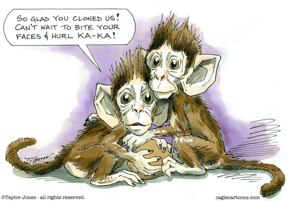 Monkey clones