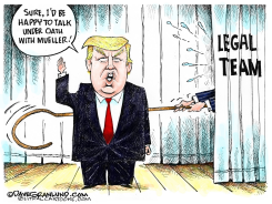 TRUMP AND MUELLER  by Dave Granlund