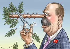 ERDOGANS OLIVE BRANCH by Marian Kamensky