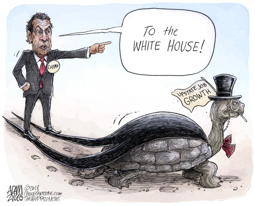 NY State Cuomo Run