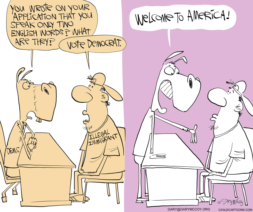  ILLEGALS VOTING DEMOCRAT by Gary McCoy