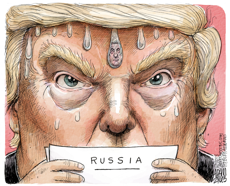Mueller Probe COLOR