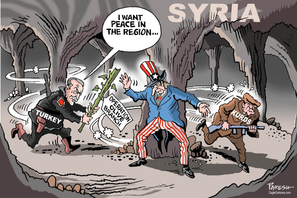 Trukey in Syria