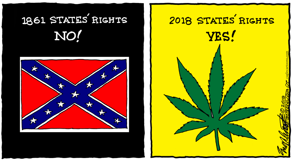  STATES' RIGHTS by Bob Englehart